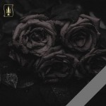 Пам'яті Сенаторова Микити Валерійовича