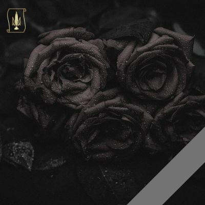 Пам'яті Сенаторова Микити Валерійовича